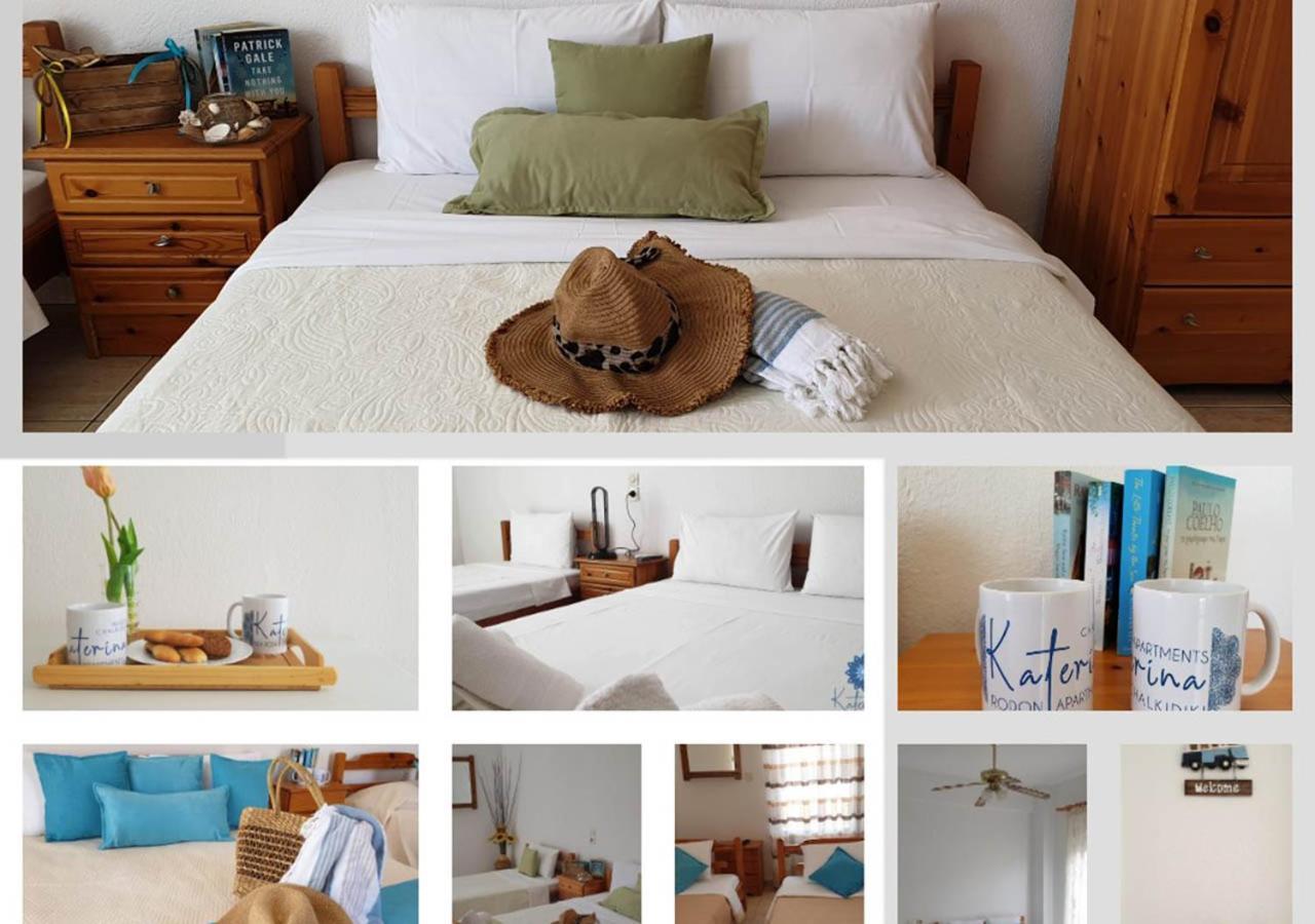 Katerina Rodon Apartments Nea Roda Bagian luar foto
